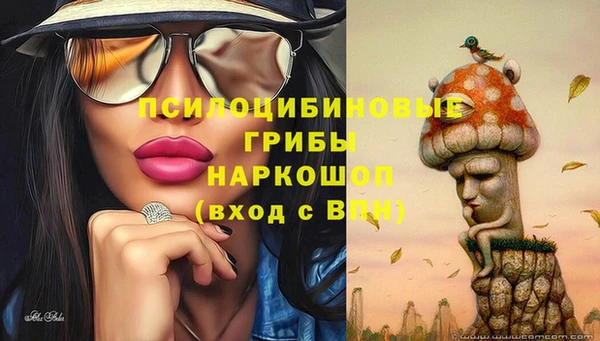 МДПВ Армянск