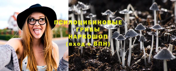 экстази Арсеньев
