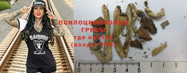 круглые Аркадак