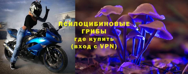 круглые Аркадак